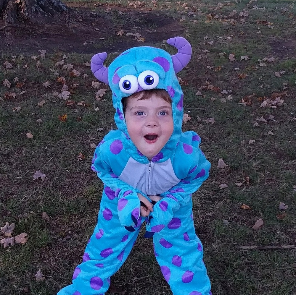 Sulley Monsters Inc. Toddler costume